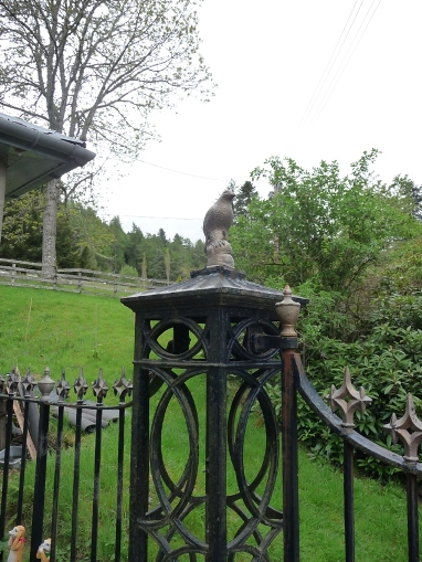 Front gate guardian.
